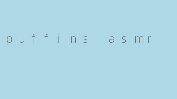puffins asmr
